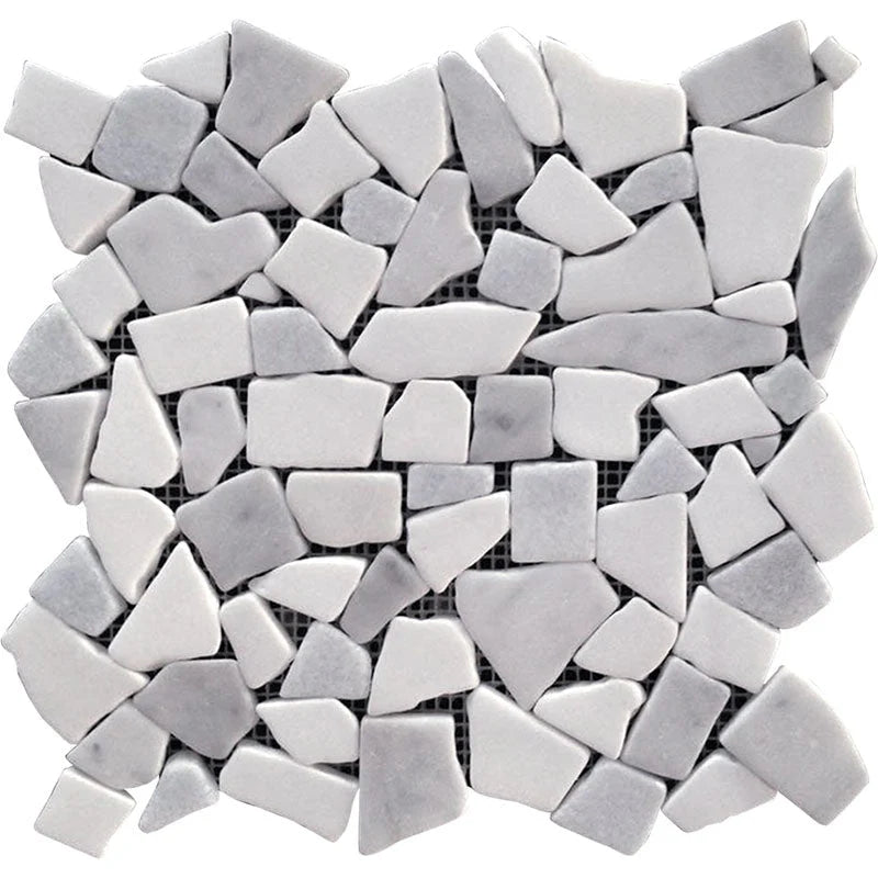 Dc Metro Rock Creek Thassos / Bianco Carrara Mosaic Tile.