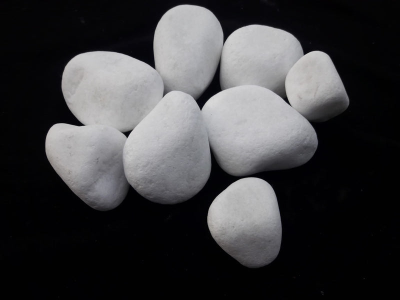 White Natural Rainforest Pebble Stone 2 to 3 inches - 1500 LBS - stoneandtiledepot.com