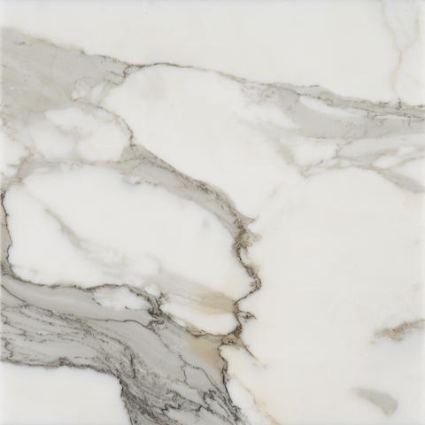 Calacatta Gold Marble 18x18 Honed Marble Tile.